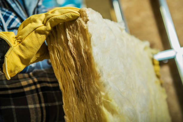 Best Cellulose Insulation in Echelon, NJ