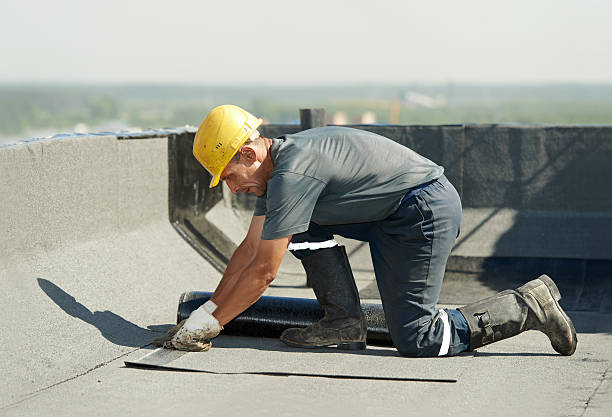 Best DIY Insulation Kits and Guidance in Echelon, NJ