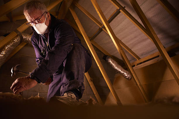 Best Commercial Insulation in Echelon, NJ